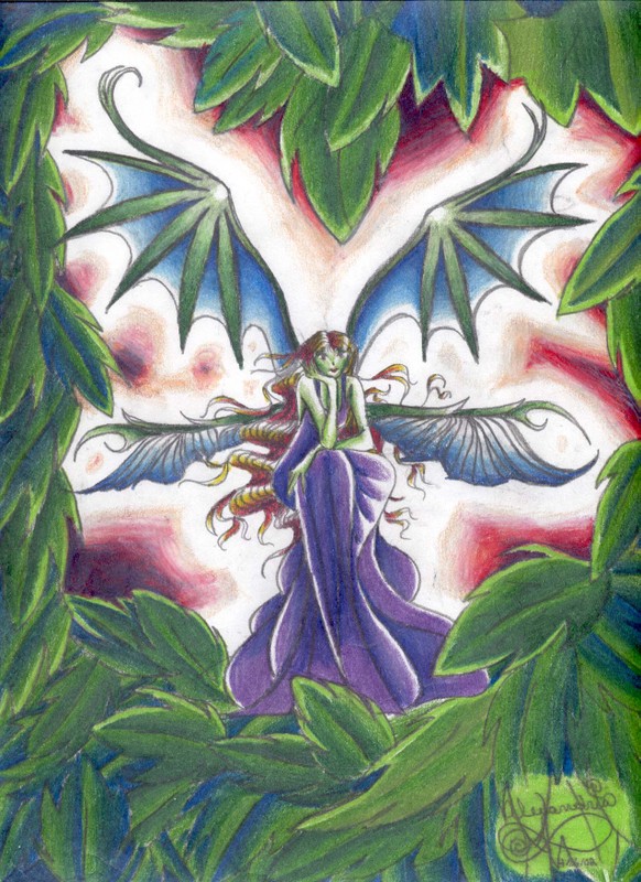 fairy.jpg